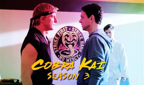 Cobra Kai Season 3: Release Date, Cast and Story - GudStory