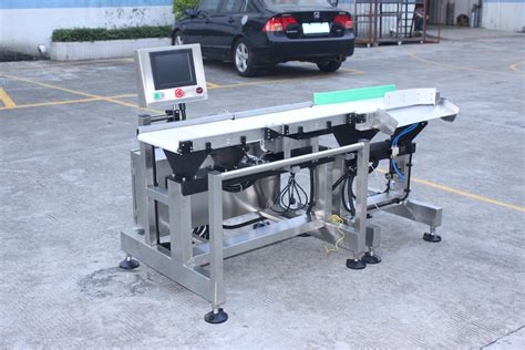 High Accuracy Pack Bag Belt Conveyor Automatic Check Weigher China