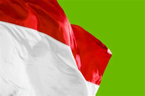 Premium Photo Indonesia Flag Blowing In The Studio