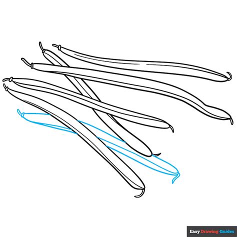 How To Draw Green Beans Really Easy Drawing Tutorial