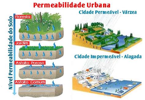Solo Com Muita Areia São Pouco Permeáveis - IMPERMEABILIZAÇÃO DO SOLO AGRAVA AS ENCHENTES - ENTENDA O PROBLEMA