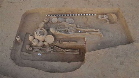 Ancient Dna Sheds Light On Adaptation Of Early Europeans At The Dawn Of