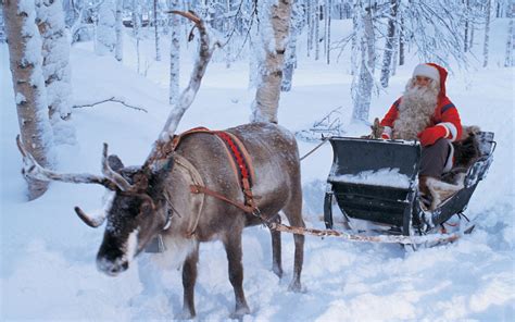 Real Santa Claus and his reindeer in the white forest