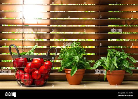 Plants Window Sill Indoors Hi Res Stock Photography And Images Alamy