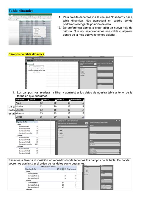 3 Tablas Dinámicas Notas aplicadas al desarrollo de aptitudes