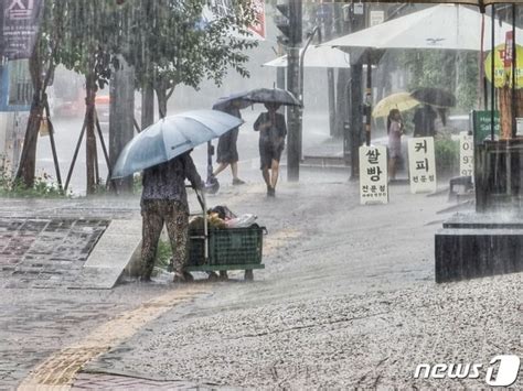 전국 물폭탄에 1명 실종전남·경상에 100㎜ 이상 더 온다 네이트 뉴스