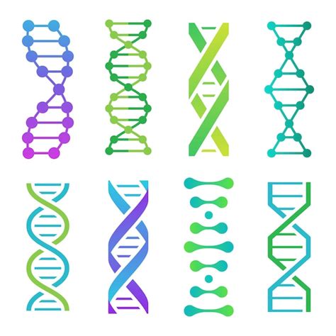 Ícones coloridos de dna estrutura da molécula espiral para pesquisa