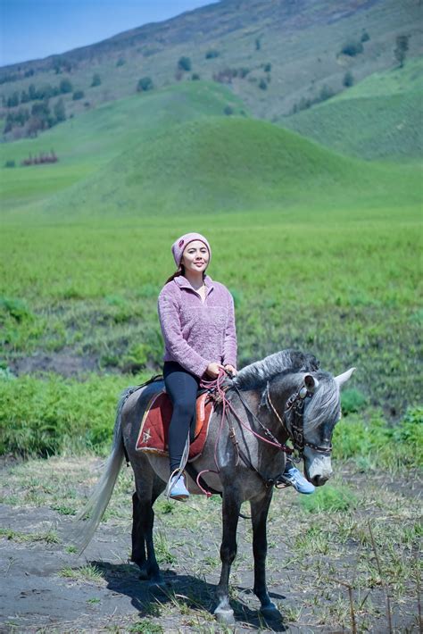 Savana Bukit Teletubbies Open Private Trip Bromo Wisata Gunung