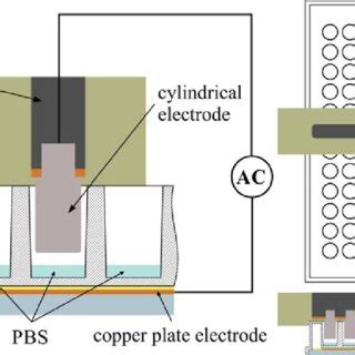 Air DBD Plasma Experimental Setup Left And Electrode Position In A