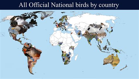 Map Of All Official National Bird In Every Country And Territory R