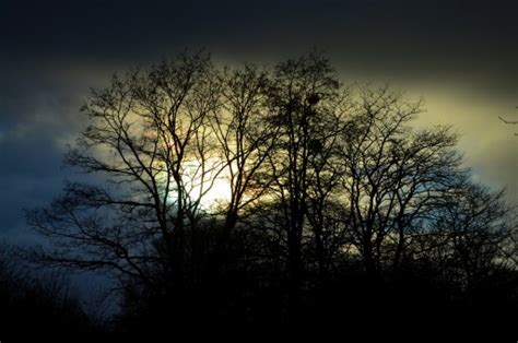 Free Images Tree Nature Light Cloud Sky Night Sunlight Star