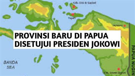 Seluas 120 270 11 Km2 4 Daerah Di Papua Bersatu Bentuk Provinsi Baru