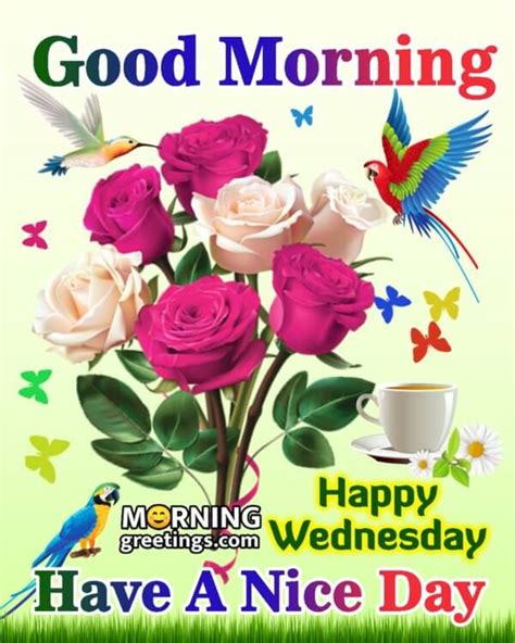 50 Good Morning Happy Wednesday Images Morning Greetings Morning Quotes And Wishes Images