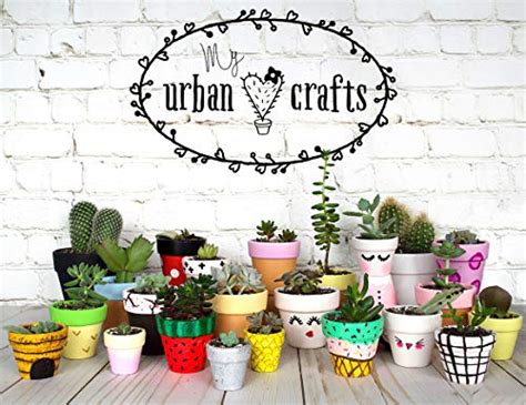 My Urban Crafts Pcs Small Terracotta Pots X Inch Mini Flower