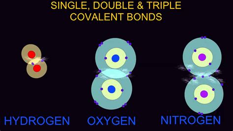 Double Covalent Bond