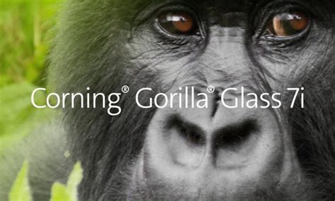 Gorilla Glass 7i Vidrio Templado Económico