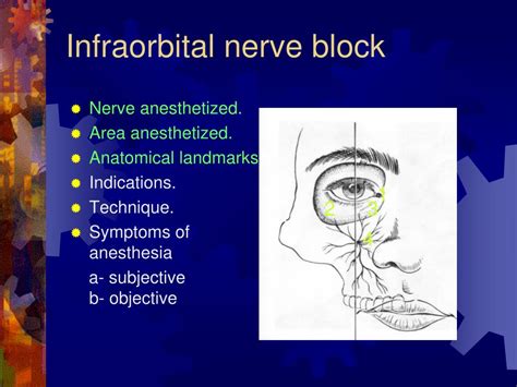 Infraorbital Nerve Block Landmarks