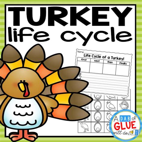 Turkey Life Cycle Diagram