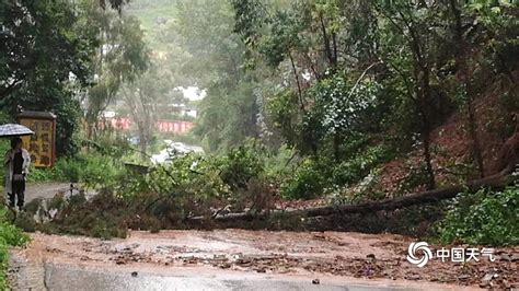 雨势强！云南永胜降大暴雨致多地受灾 图片频道