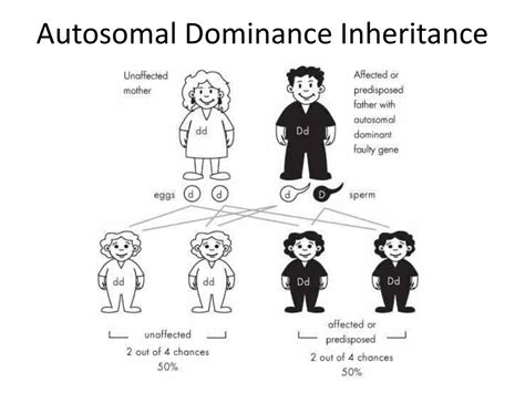 Ppt Autosomal Dominance Inheritance Powerpoint Presentation Free