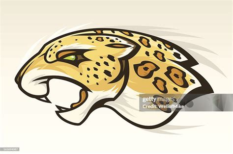 Jaguar Head High Res Vector Graphic Getty Images