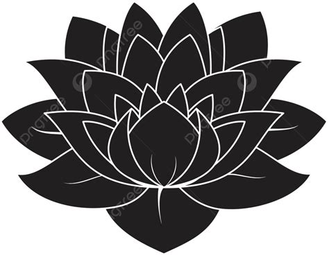 Lotus Silhouette