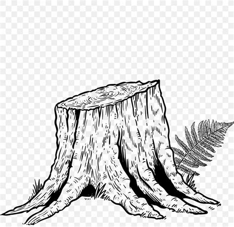 How To Draw A Tree Trunk At Drawing Tutorials