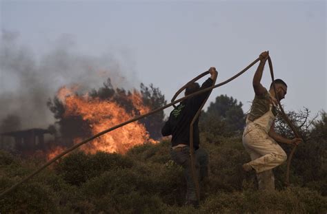 Feuer in Feriengebieten Schwere Waldbrände in Italien Griechenland