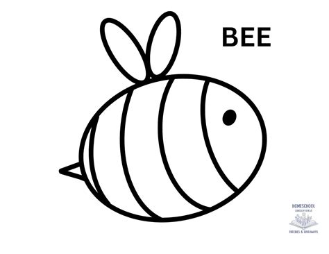 Bee Coloring Pages Homeschool Freebies And Giveaways