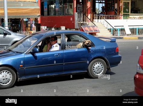 Street scene with policeman driving car and dog in backseat of car ...