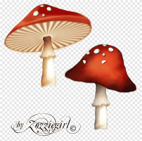 Psilocybin Mushroom Computer Icons Poisonous Red Mushroom Psychedelia