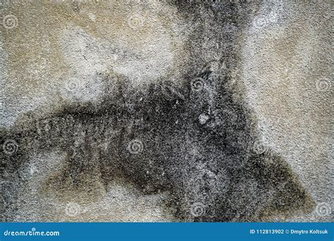 Textura Concreta Del Cemento Superficie De Piedra Fondo De La Roca