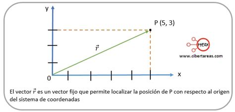 Vector fijo Física 1 CiberTareas