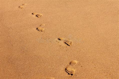 Empreinte Humaine Dans Le Sable Image Stock Image Du Seaside