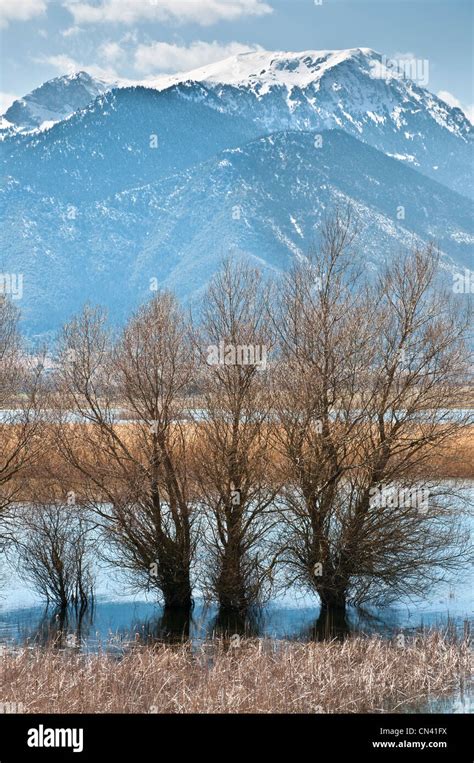 The Stymphalian Lake in Spring flood, in southern Korinthia, Peloponnese, Greece Stock Photo - Alamy