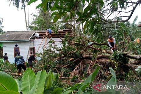 Satu Rumah Warga Natuna Tertimpa Pohon Karena Angin Kencang Antara News