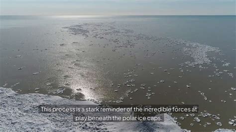 The ‘brinicle—a Deadly Ice Spike That Freezes Everything In Its Path