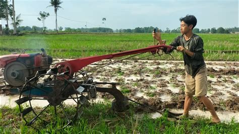 Joki Bocil Traktor Sawah Garap Petak Lahan Sekaligus Persiapan Tanam