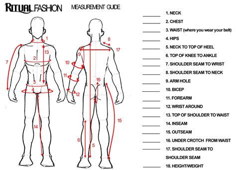 Male Body Measurements Chart