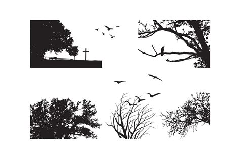 Birds And Branch Silhouette Set 53335598 Vector Art At Vecteezy