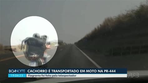 Vídeo mostra motociclista levando cachorro na garupa na PR 444 Norte