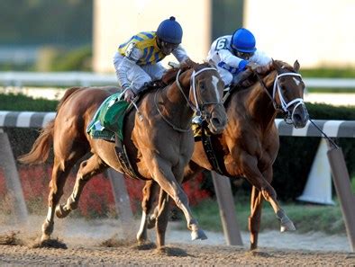 Curlin - Horse Profile - BloodHorse