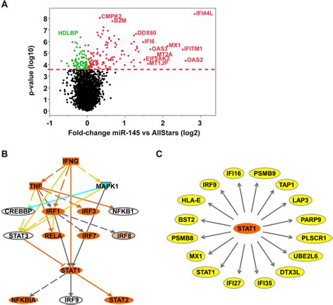 MiR 145 5p Expression Induces Activation Of The STAT1 Pathway A The