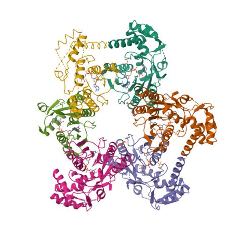 Gene Q8NBZ7 Protein UXS1 Overview CanSAR Ai