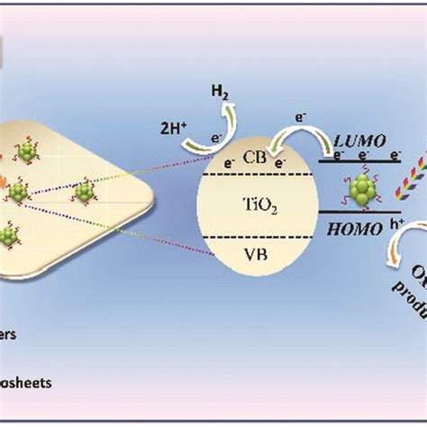 Proposed Mechanism Of Au Tio Nanosheets For Visible Light Induced