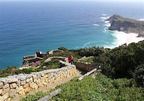 Kaapstad Penguins Kaap De Goede Hoop Halve Dag Gedeelde Tour