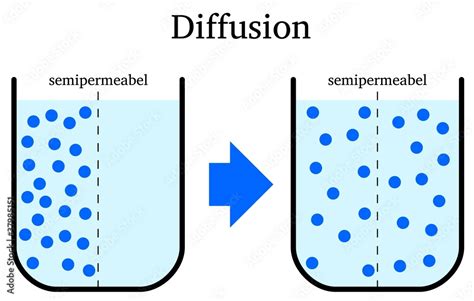 Diffusion Stock Illustration Adobe Stock