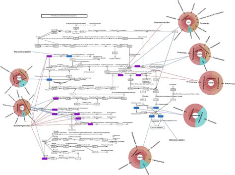 Polycyclic Aromatic Hydrocarbon Degradation Pathway Assembled Contigs