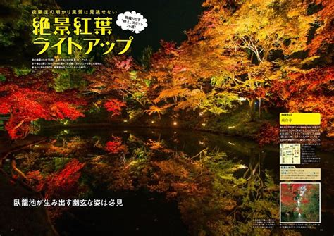 絶景紅葉 ライトアップ ムック・増刊 Dマガジン