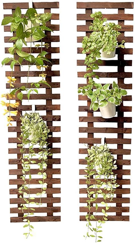 Amazon Shoplala Wall Plant Holder Hanging Planters For Indoor